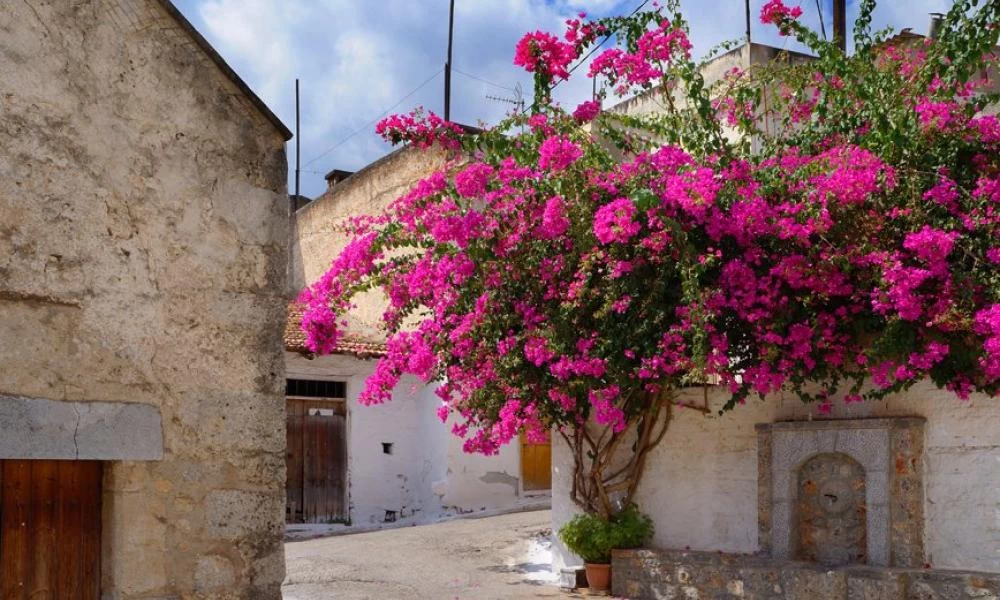 Κριτσά: Το χωριό της Κρήτης που ήταν ξεχωριστό το Μεσαίωνα και όχι άδικα